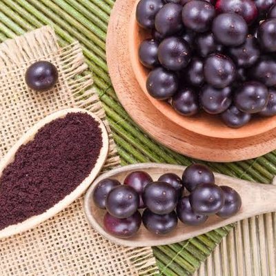 Bayas de açaí