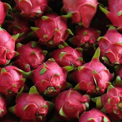 Pitayas